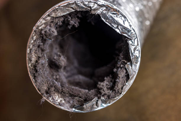 Best Duct Cleaning Specialists  in Fayetteville, GA